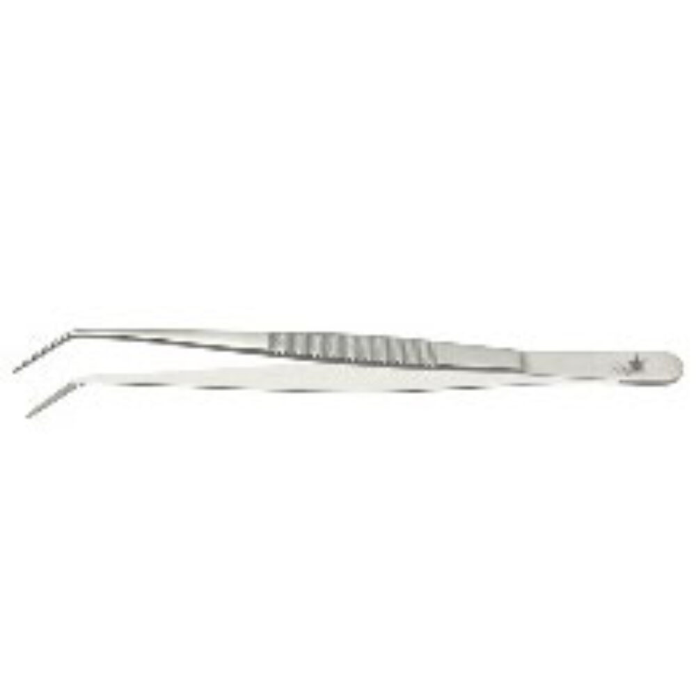 pince-forcep